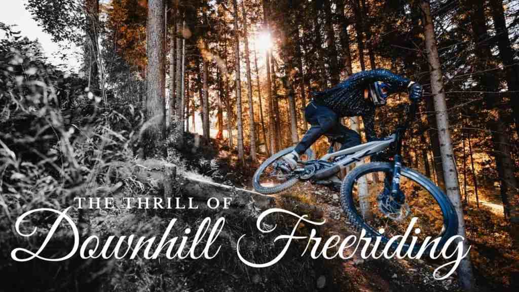 Downhill Freeriding – The Most Thrilling Form of MTB-Riding